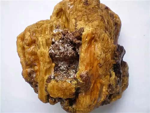 琥珀是怎么形成的